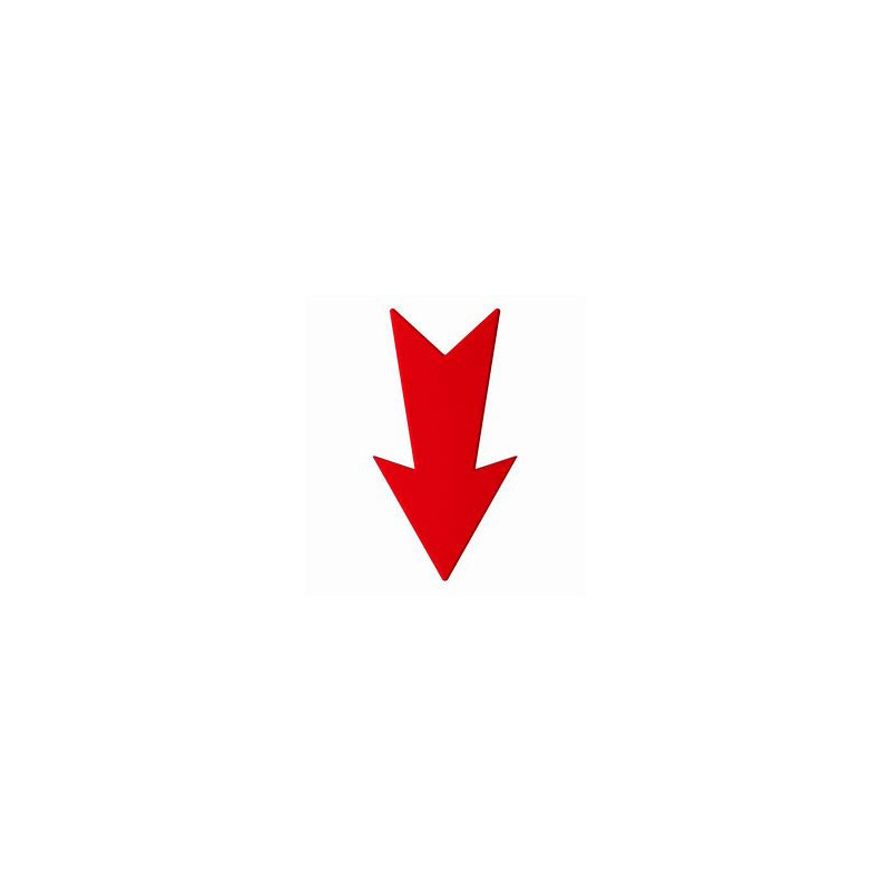 Flèche rouge, notre nouveauté du mois !