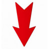Flèche rouge, notre nouveauté du mois !